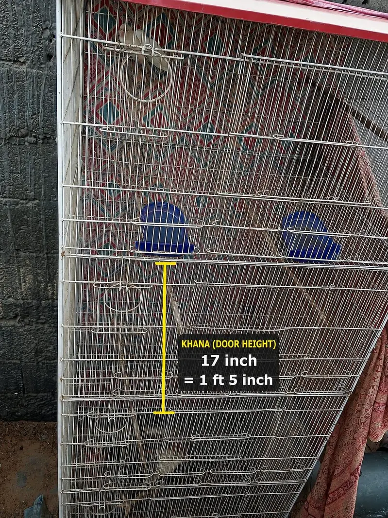 4 portion cage in white colour — photo 3