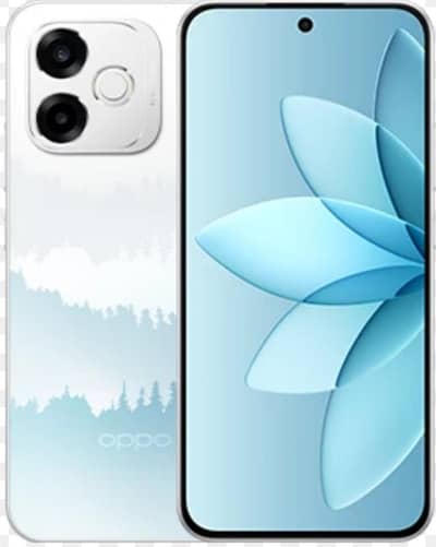 OPPO A6S pro