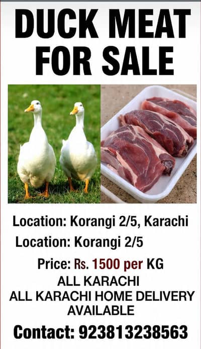 duck meat for sale rabbit