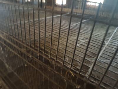 cages for sale dor  rabbit and birds