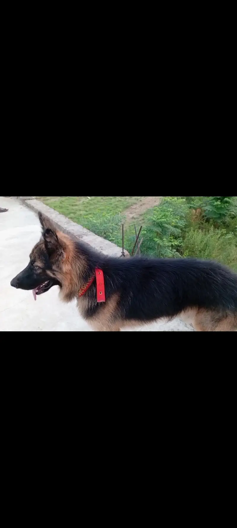 fully active for security . urgent sale — photo 2