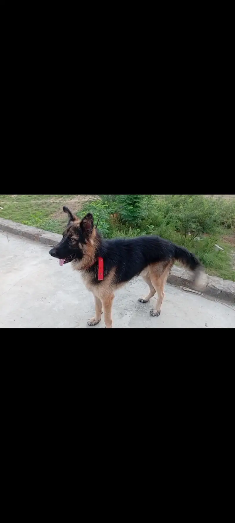 fully active for security . urgent sale — photo 3
