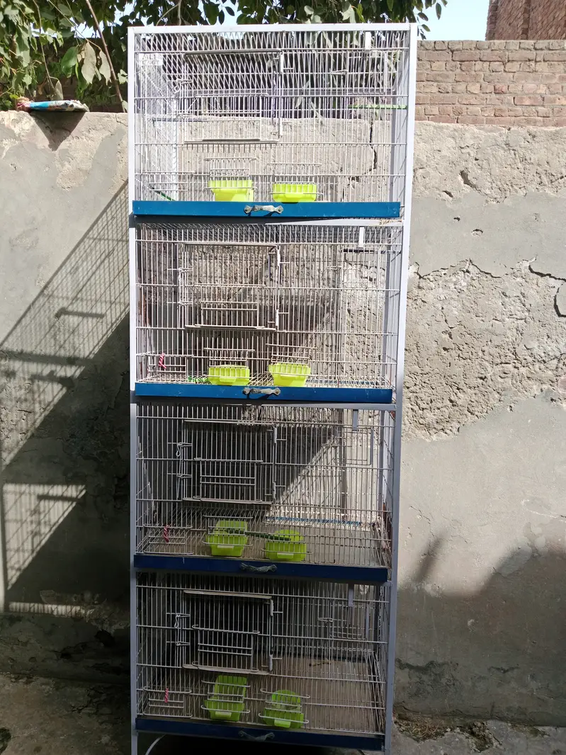 Love Birds Cage — photo 3