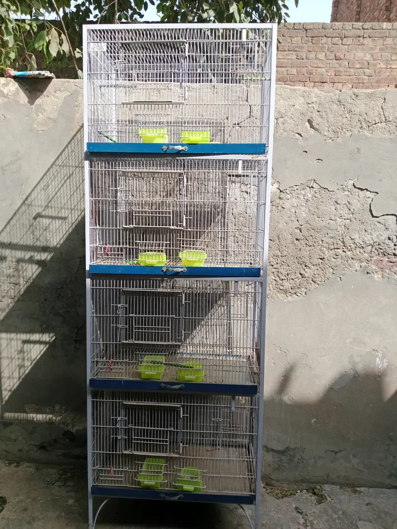 Love Birds Cage — photo 4