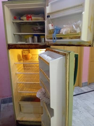 An Indesit Fridge is for Sale