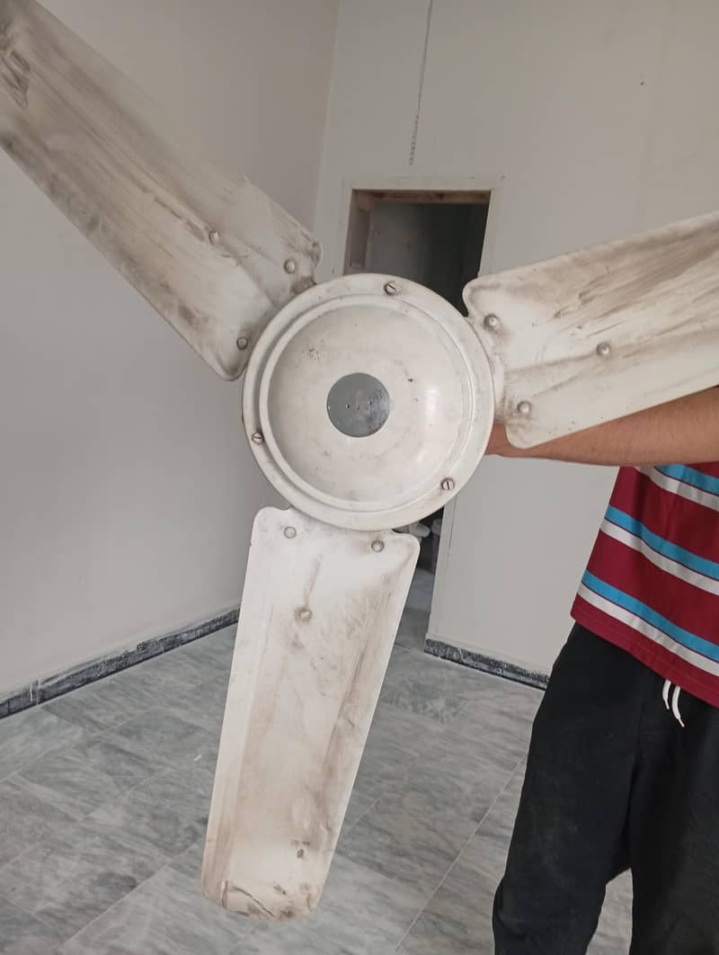 ceiling fan 1