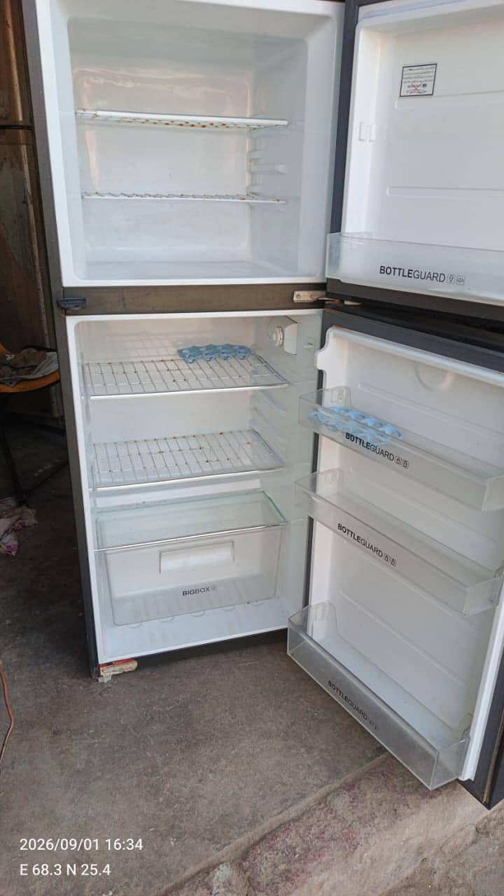 fridge 11