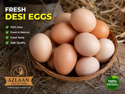 Desi Eggs