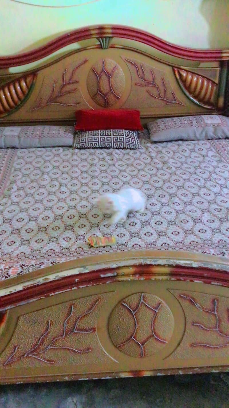 Taripal bad 2