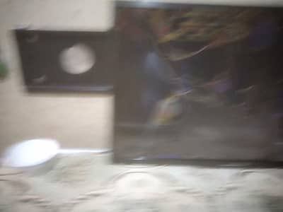led changhungruba 32