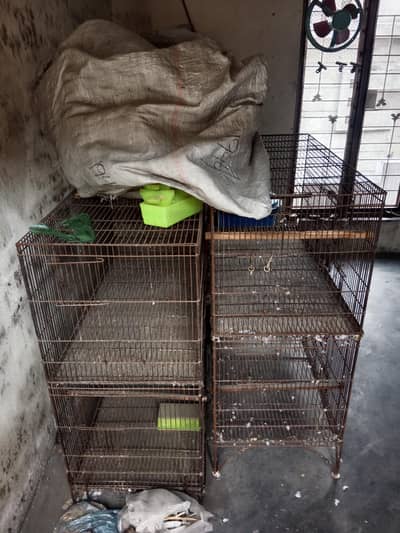 cages for sale