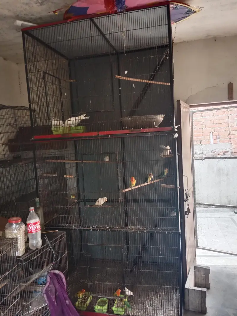 cages for sale — photo 2