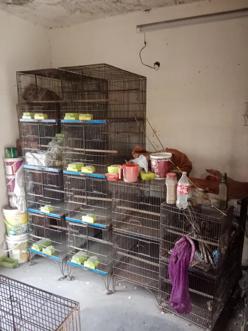 cages for sale — photo 3