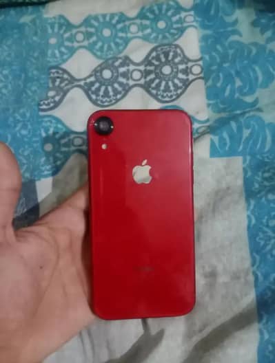 Apple iPhone xr non pta 128 go