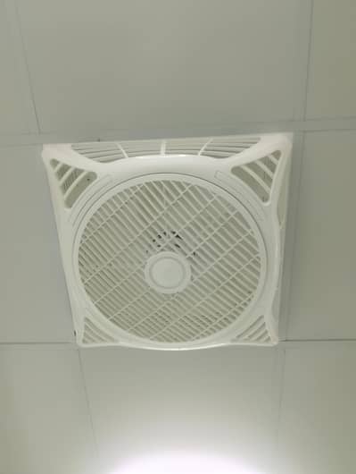 2 piece ceiling fan