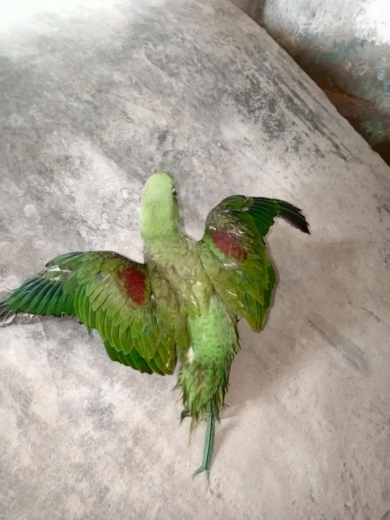 14 month ka ha mala bhra vla toking be krta ha halki halki — photo 9