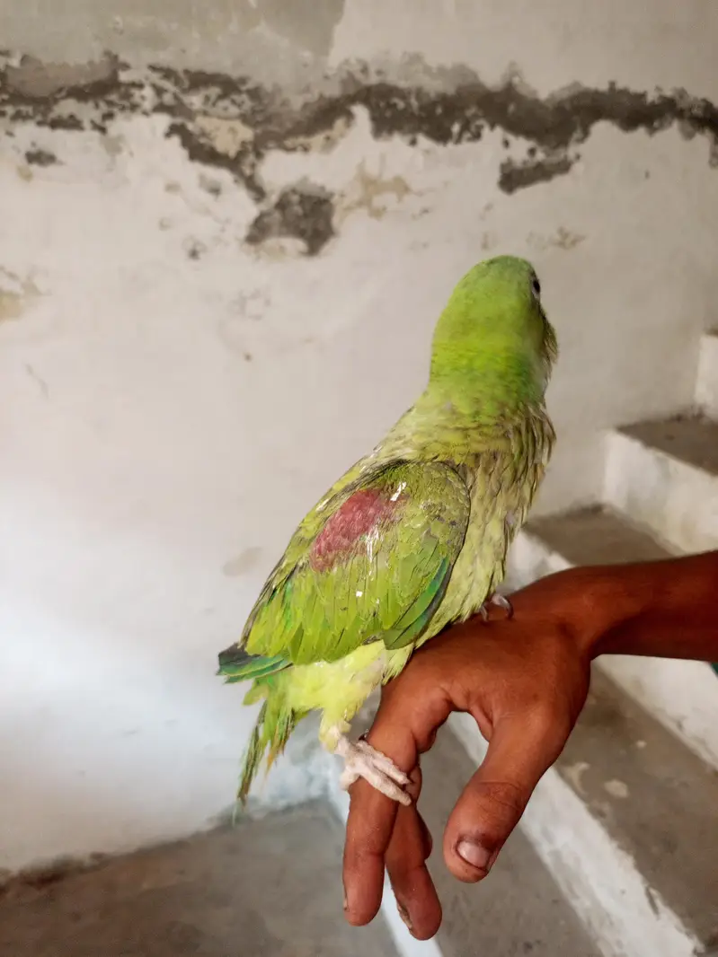 14 month ka ha mala bhra vla toking be krta ha halki halki — photo 10