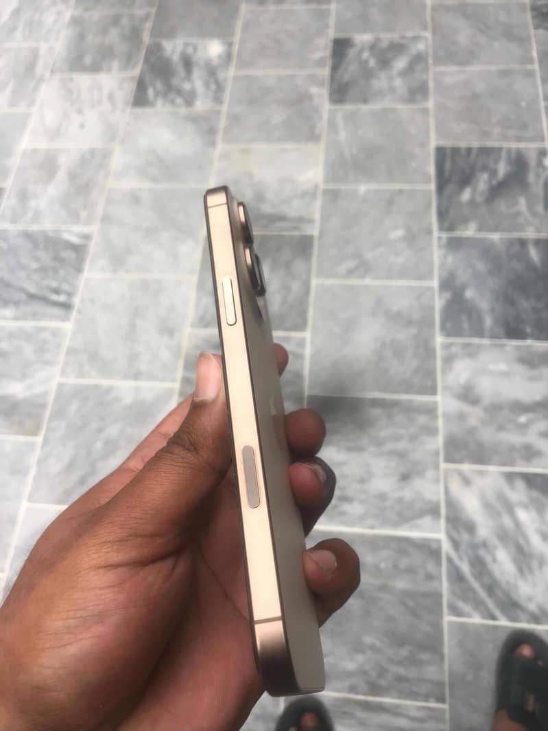 Apple iPhone 16 Pro Max 1