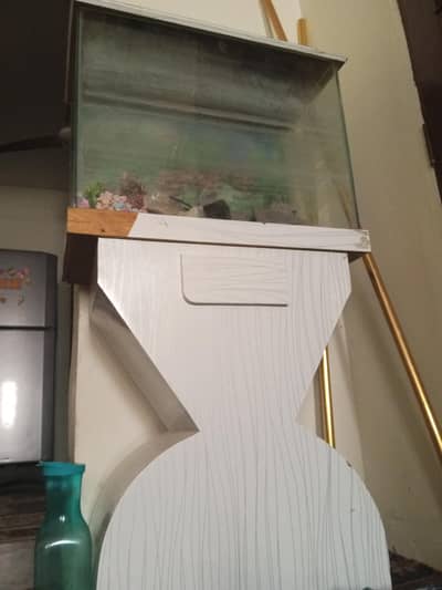fish aqurium