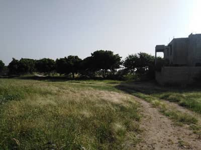 East Open General Location Plot