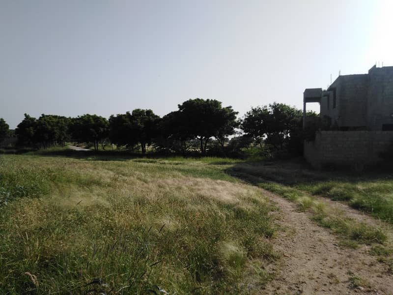 East Open General Location Plot 0