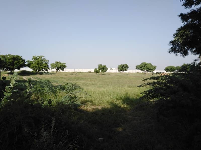 East Open General Location Plot 1
