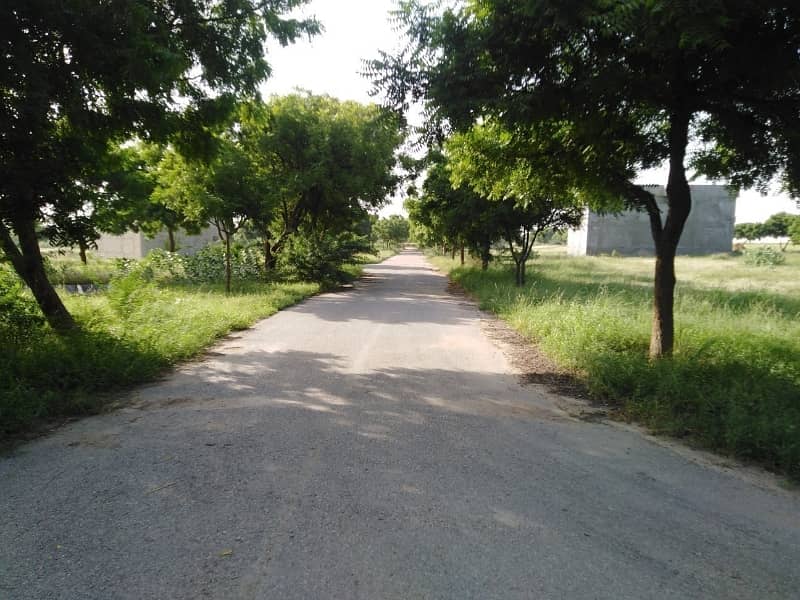 East Open General Location Plot 4