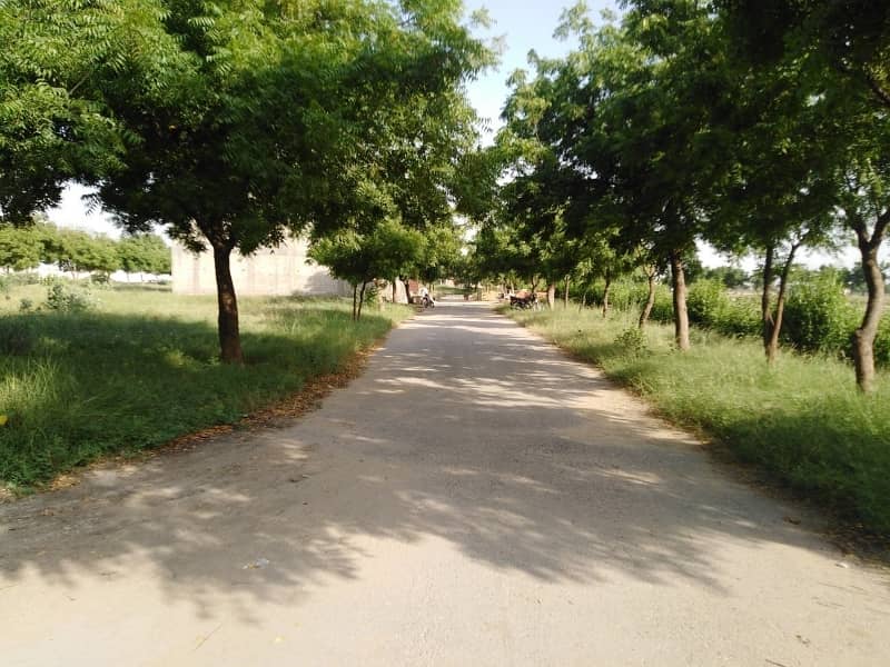 East Open General Location Plot 6