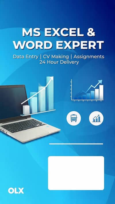 MS Excel & MS Word Expert | Data Entry | CV Making | Assignment.