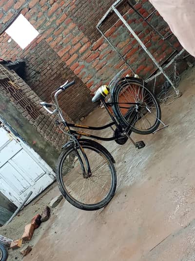 cycle japani new