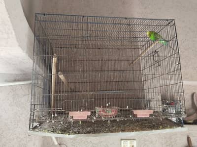 Folding cage