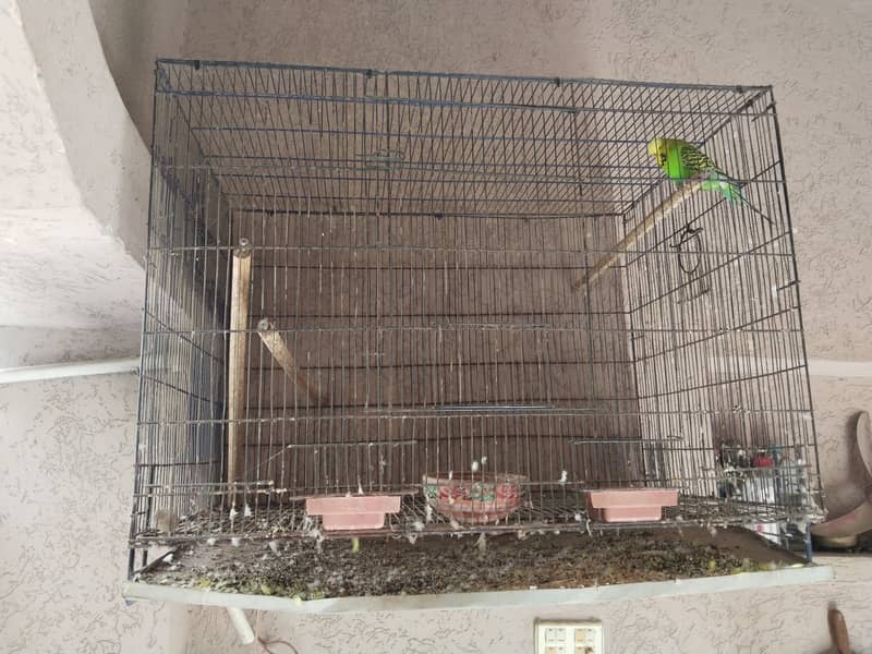 Folding cage 0