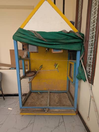 Australian Parrots Whole Colony For Sale With Cage | 25-20 Parrots