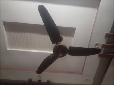 Full Size Ceiling Fans