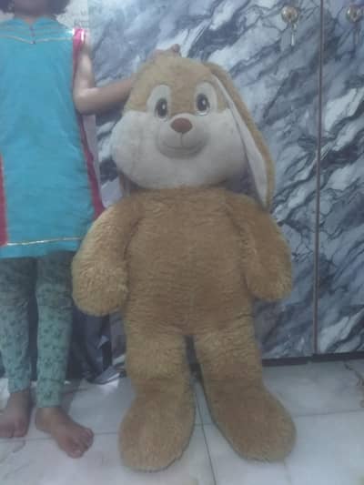 big bunny for sale(rabbit)