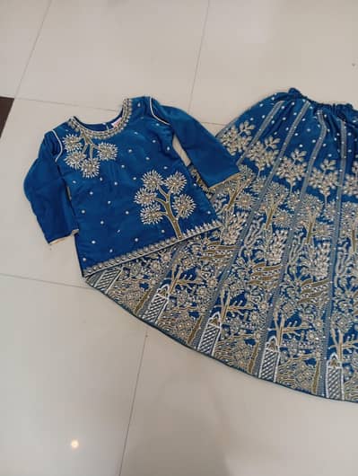 Beautiful Blue Embroidered Party Wear Dress 