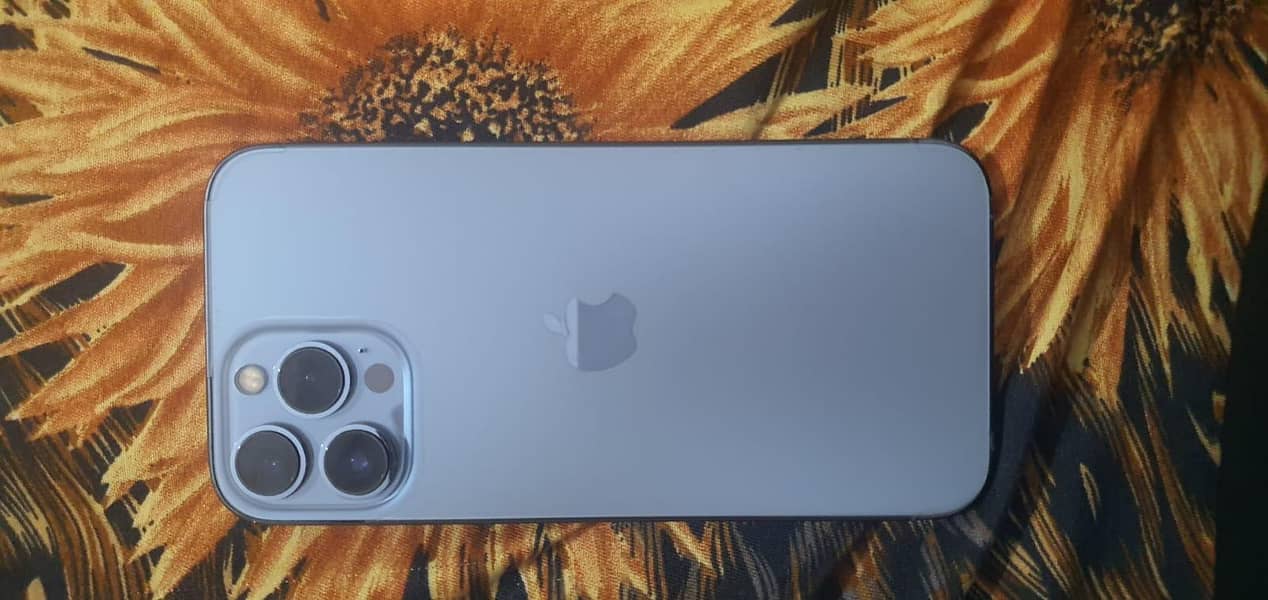 Apple iPhone 13 Pro Max 2