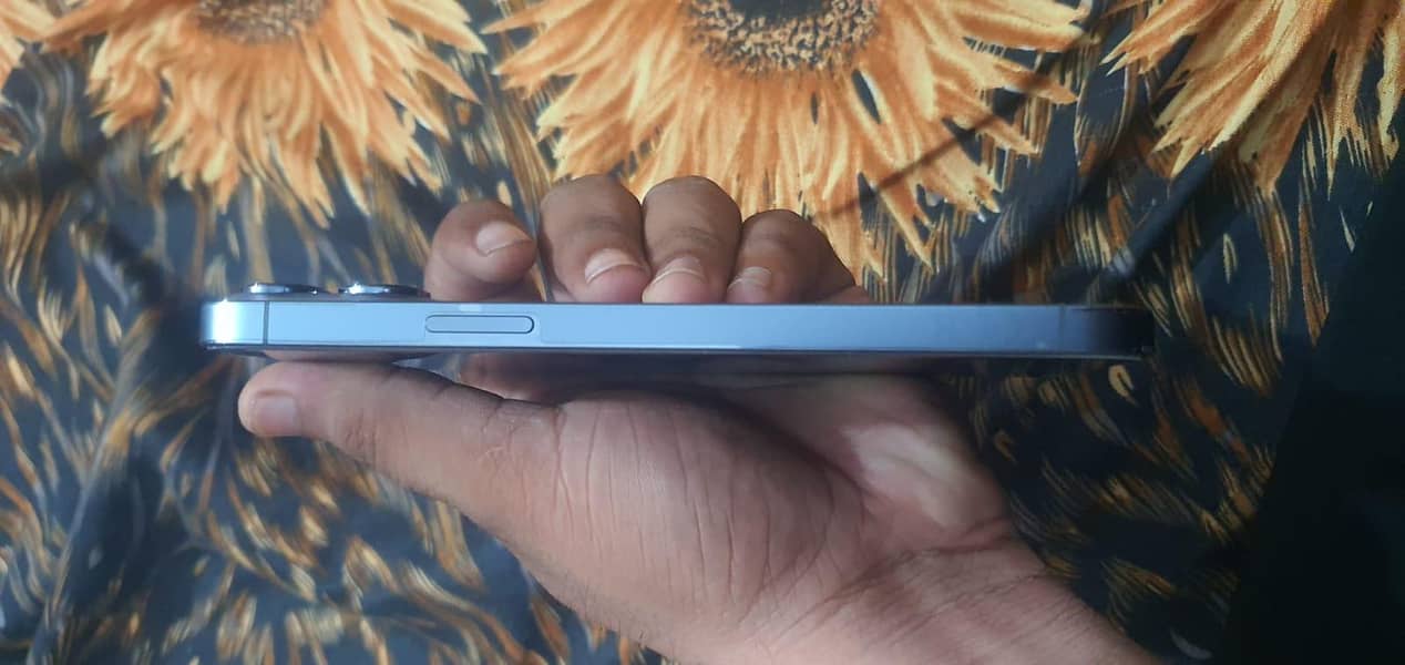 Apple iPhone 13 Pro Max 4