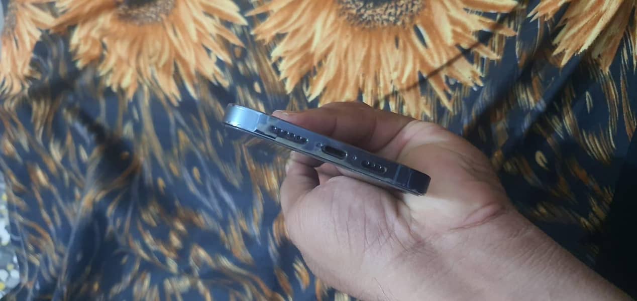 Apple iPhone 13 Pro Max 6