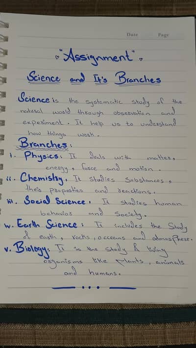 Assignment Writing online work