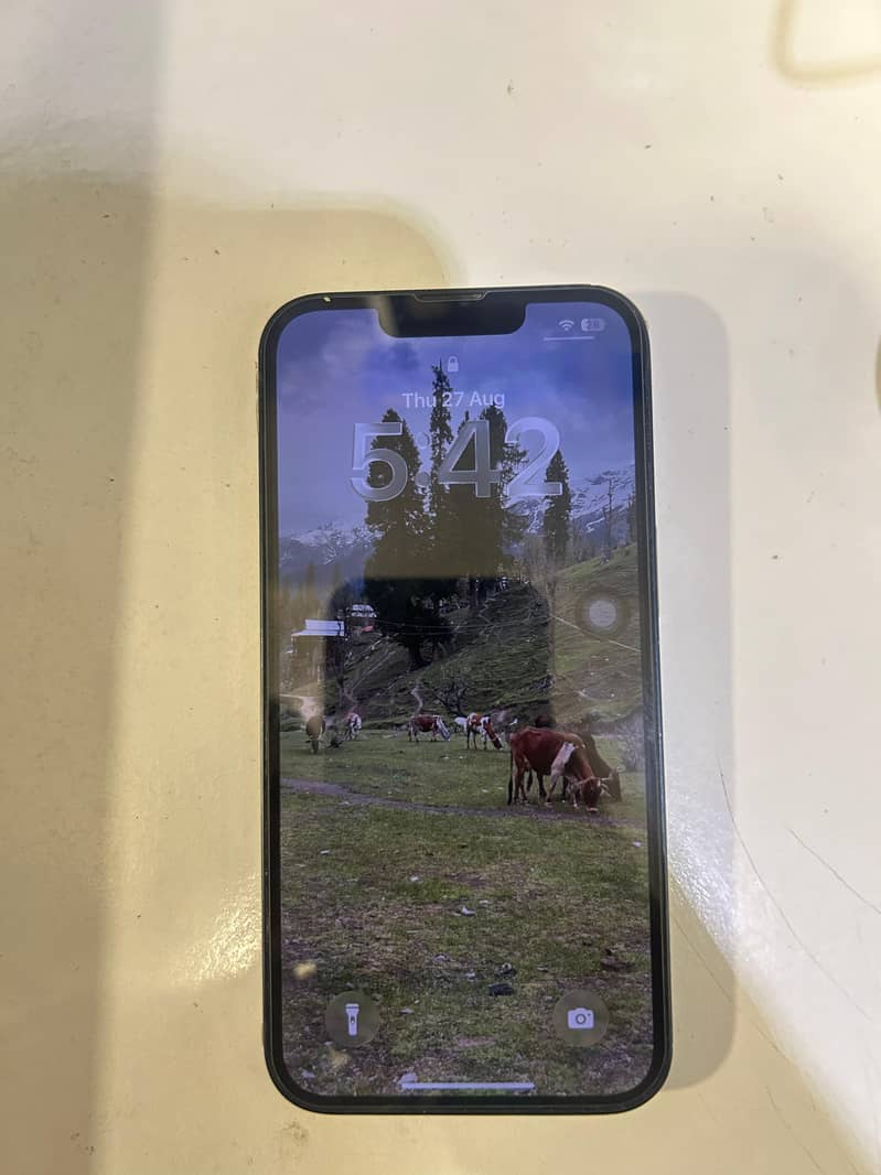 Apple iPhone 13 1