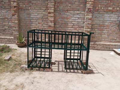 phary jangla for sallesman