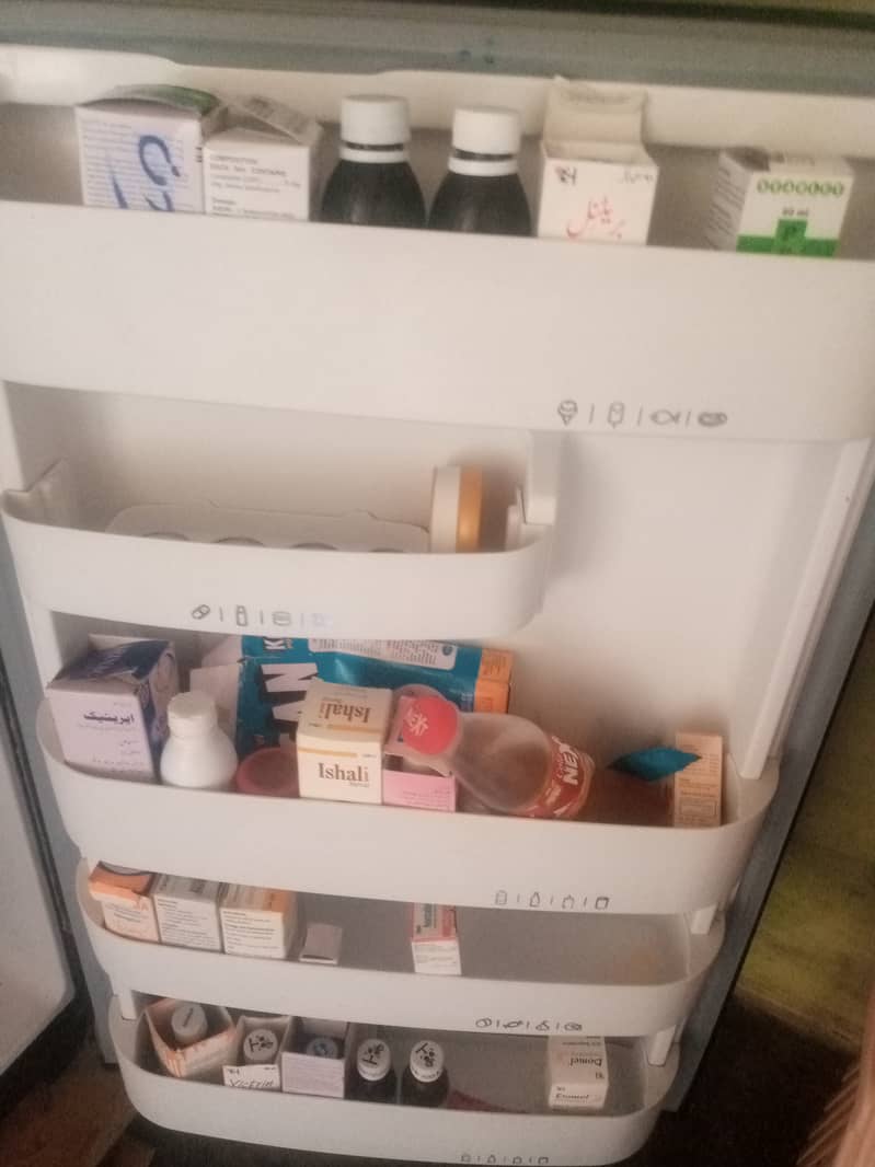 Orient Fridge 2