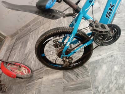 Bicycle for sale