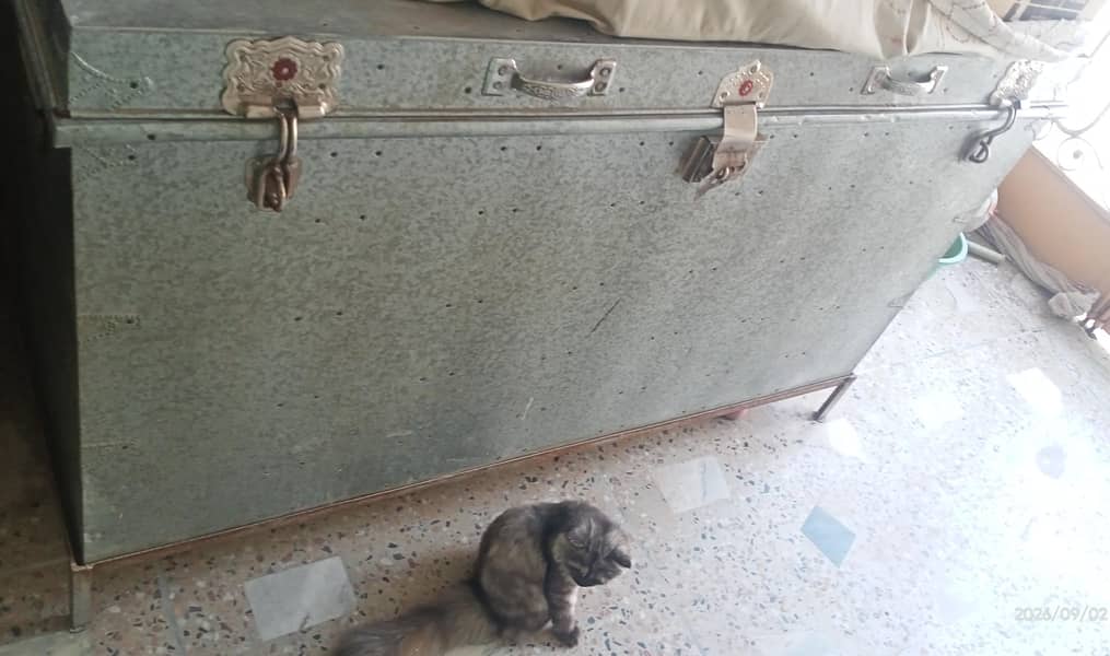 Trunk Box 0