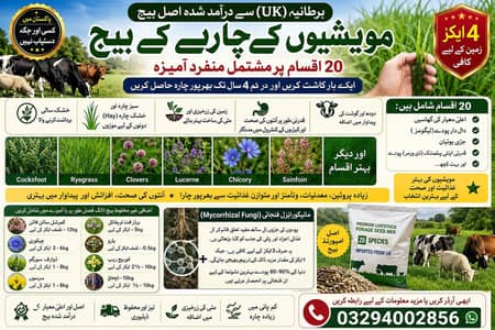 different seeds imported