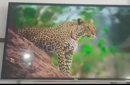 TCL Smart Led tv 40 inches (in nawabshah)