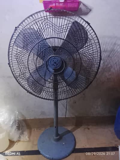 2 fans
