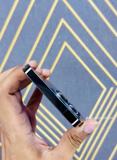Apple iPhone 13 Pro