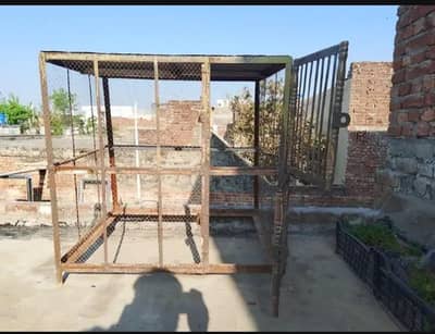 HENS HOUSE PINJRAA